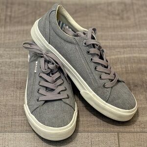 TAOS - PLIM SOUL Gray Canvas Sneakers - SIZE 9